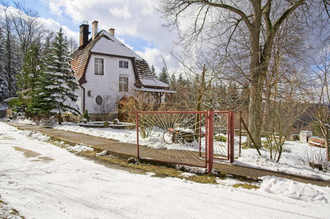 Willa "Sniezna Kopa"-Agroturystyka Pro Zdrowotna Villa Sosnówka Buitenkant foto