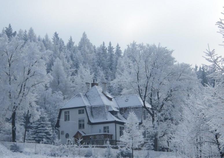 Willa "Sniezna Kopa"-Agroturystyka Pro Zdrowotna Villa Sosnówka Buitenkant foto